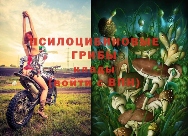 бошки Арсеньев