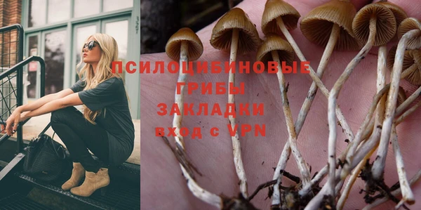 бошки Арсеньев