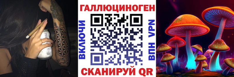 где можно купить   Пушкино  Галлюциногенные грибы GOLDEN TEACHER 